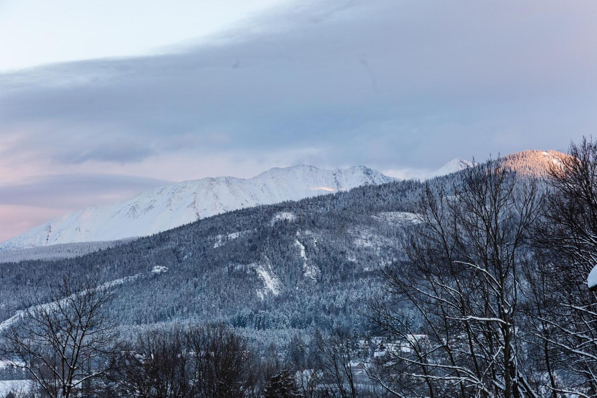 Apartamenty Butorowy Zakopane Cameră foto